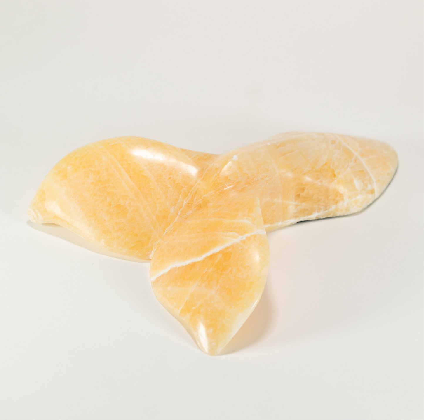 Orca Tail - Golden Onyx