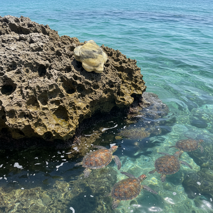 Art Class Mini Carving ~ 2+ Hours