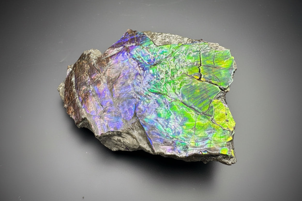 Ammolite 4