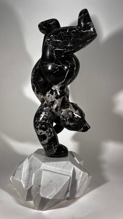Polar Joy - Black Marble