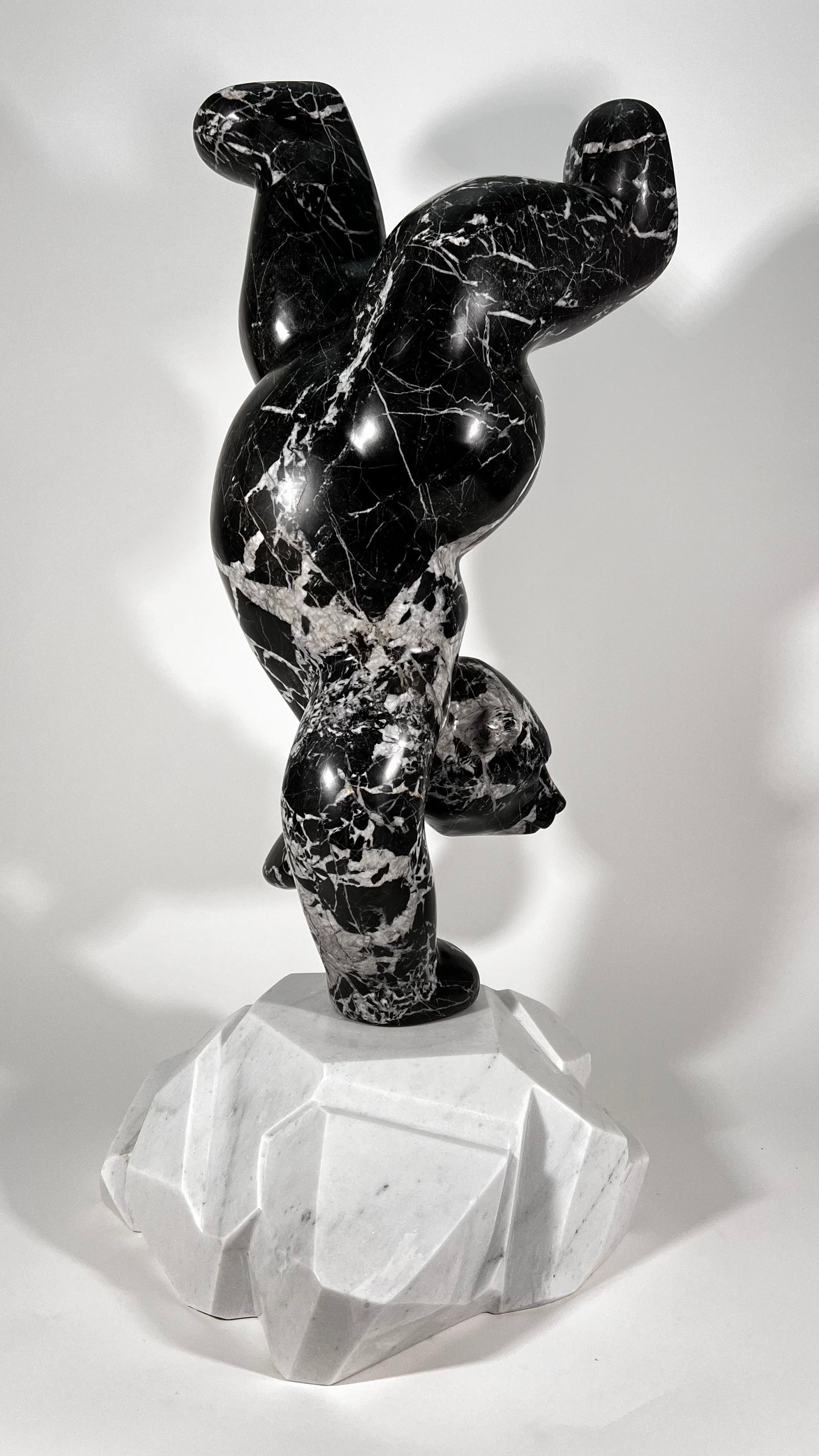 Polar Joy - Black Marble