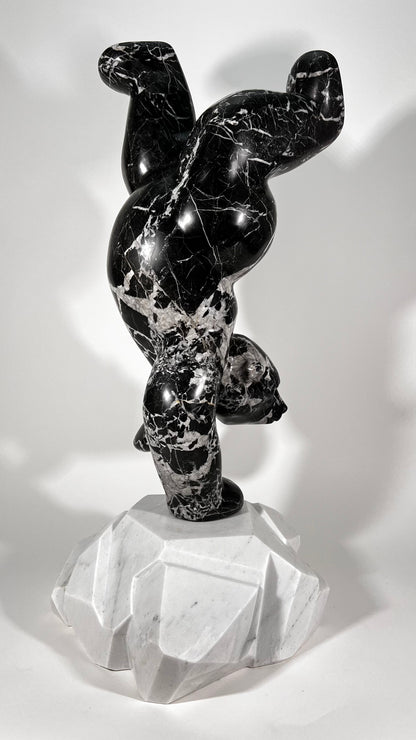 Polar Joy - Black Marble