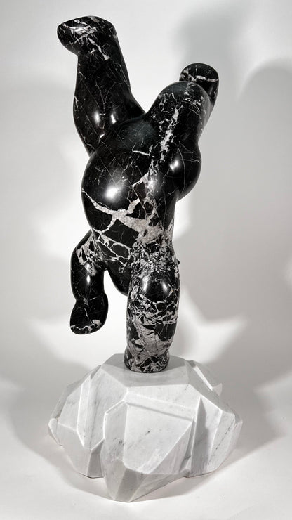 Polar Joy - Black Marble