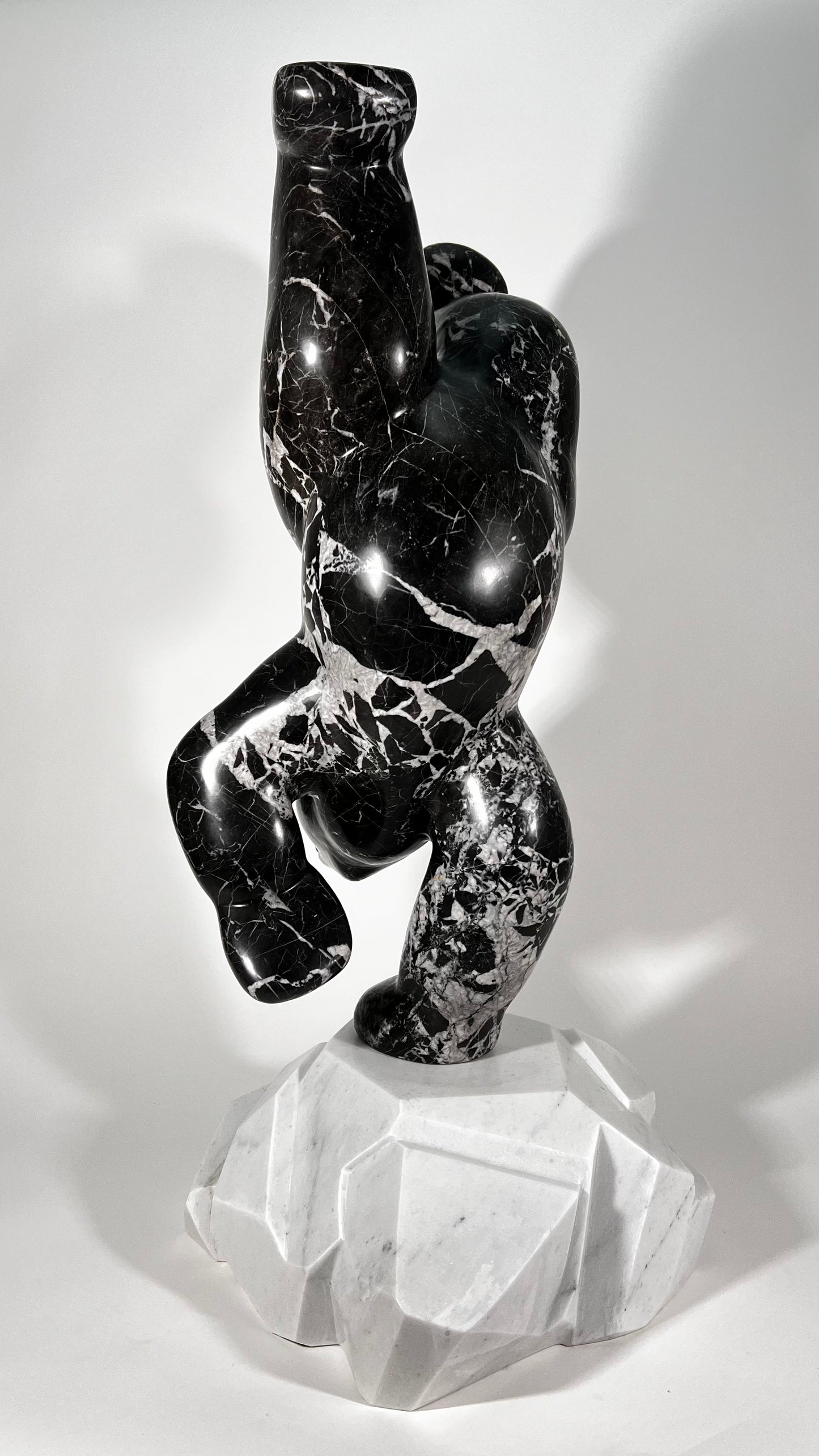 Polar Joy - Black Marble