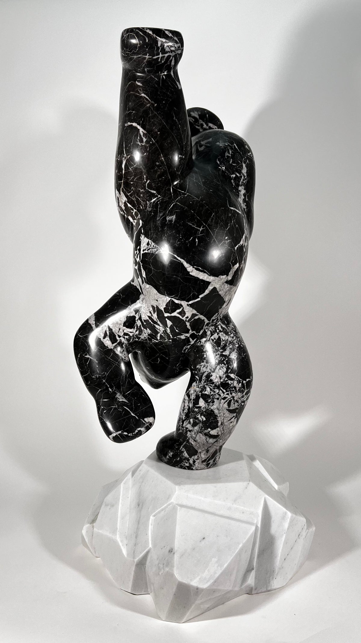 Polar Joy - Black Marble