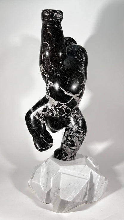 Polar Joy - Black Marble