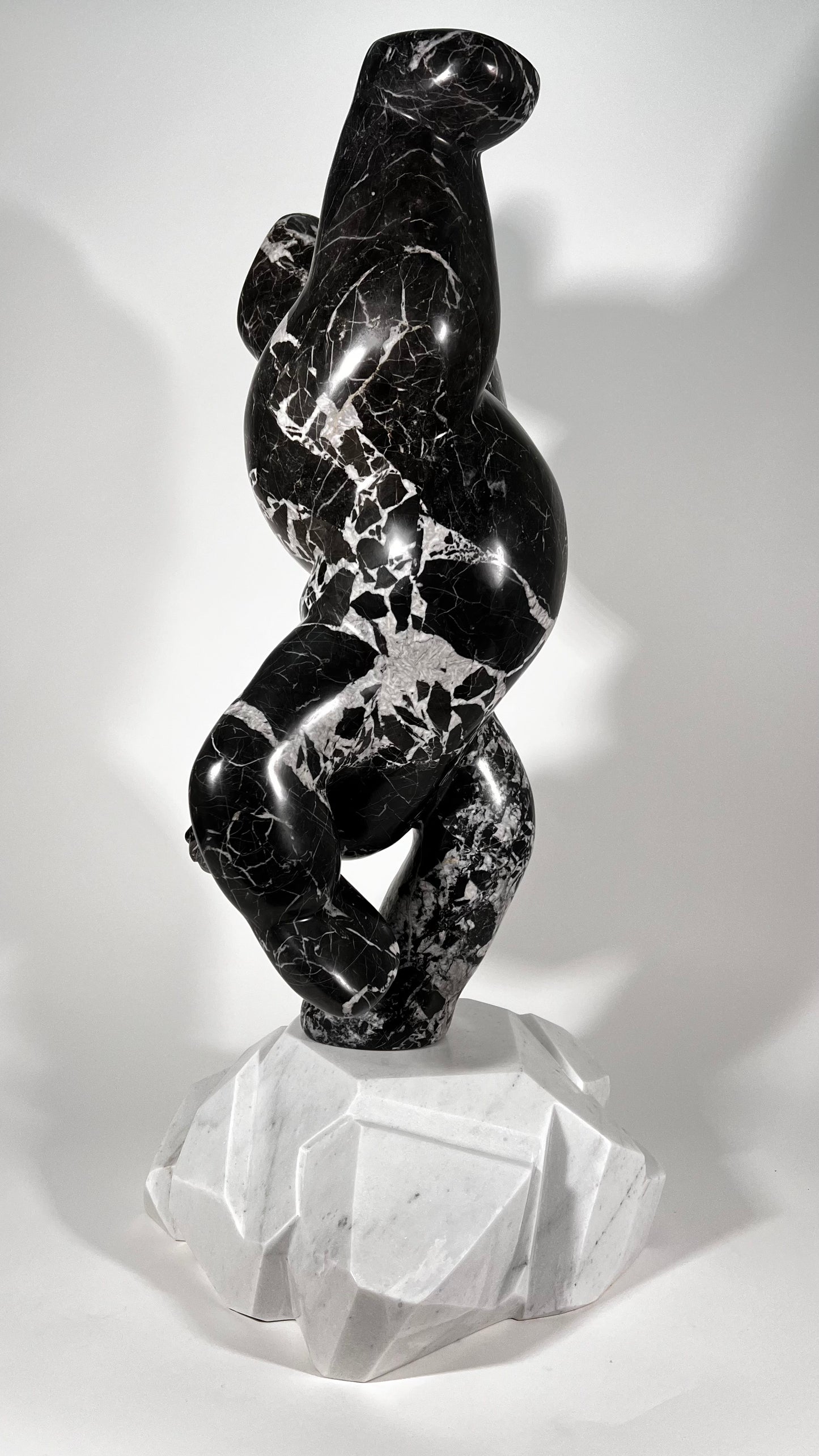 Polar Joy - Black Marble