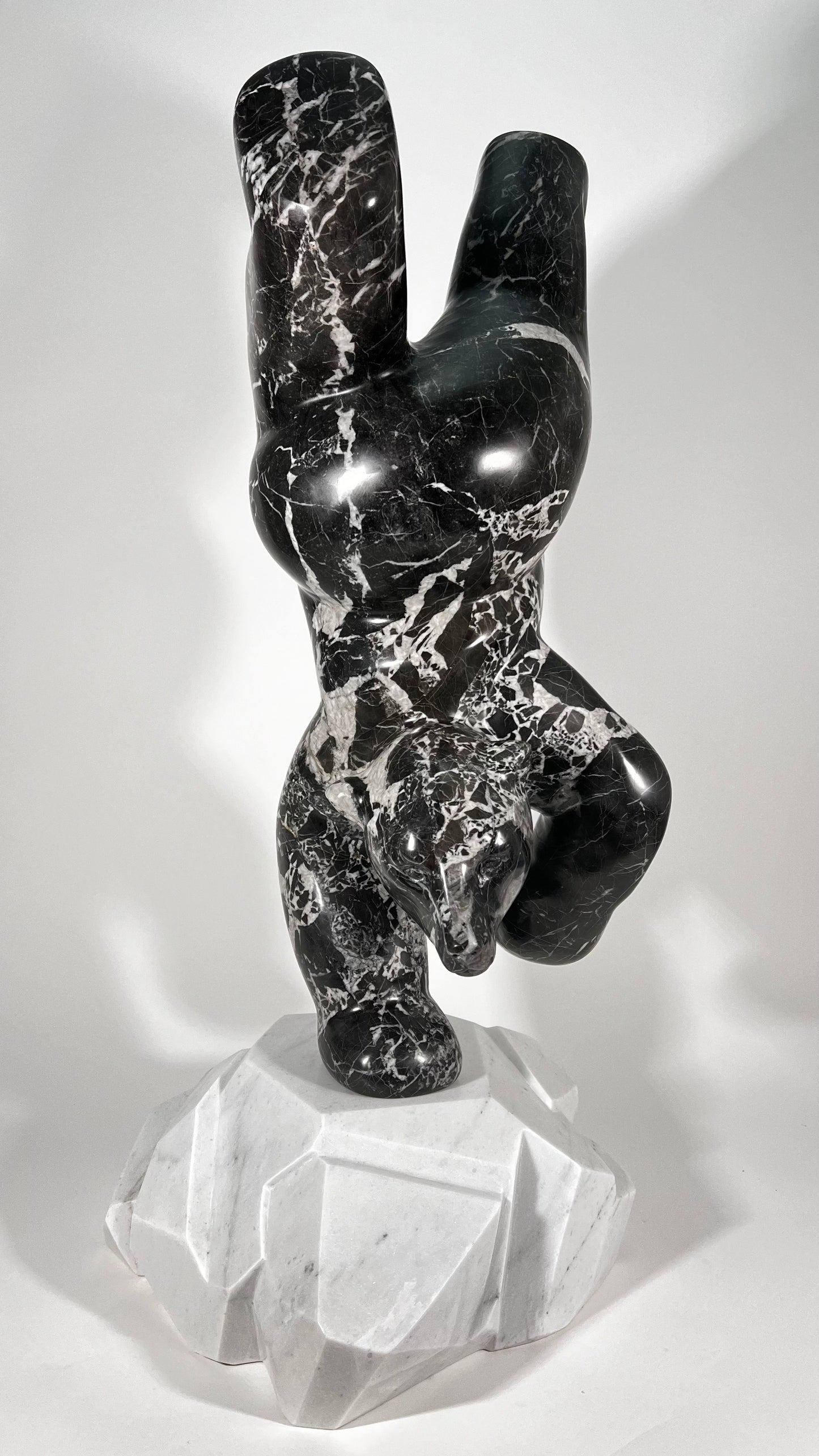 Polar Joy - Black Marble