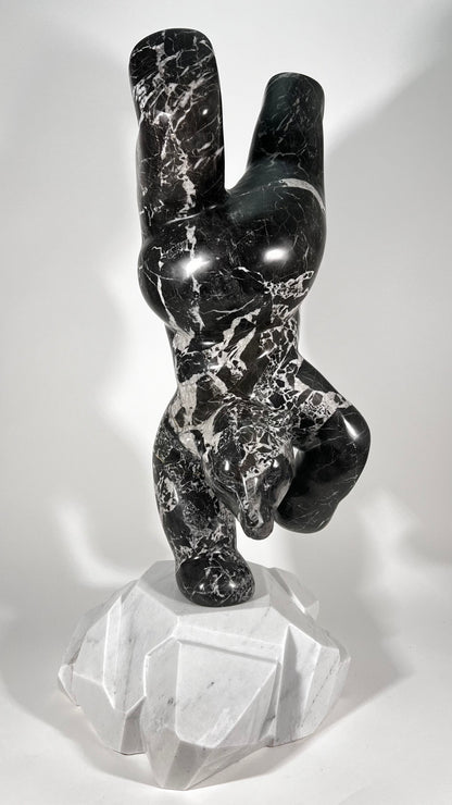 Polar Joy - Black Marble