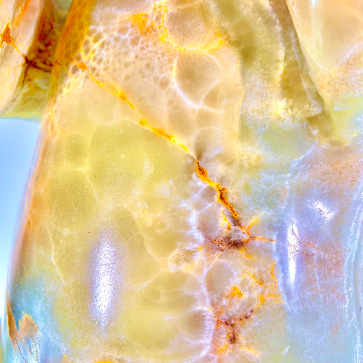 The Last Dance ~ Caramel Onyx