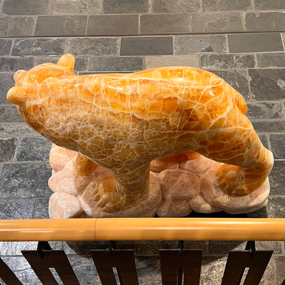 Gold Strike — Honeycomb Calcite Grizzly Walking On River Stone