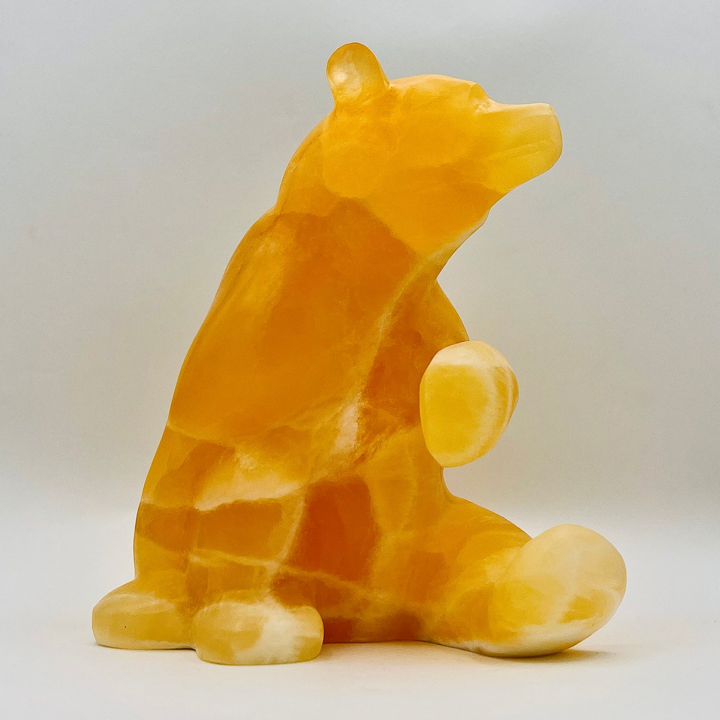 Gold Rush 6"
