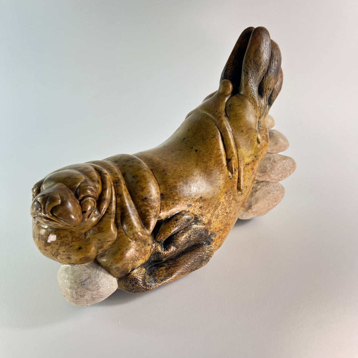 Seal