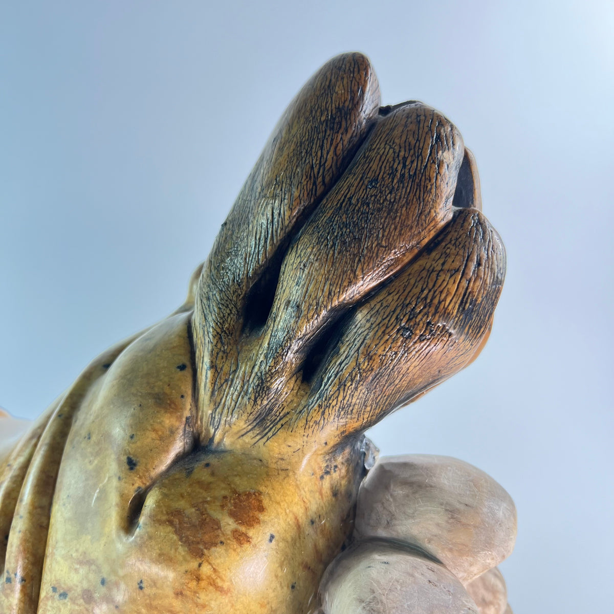 Seal