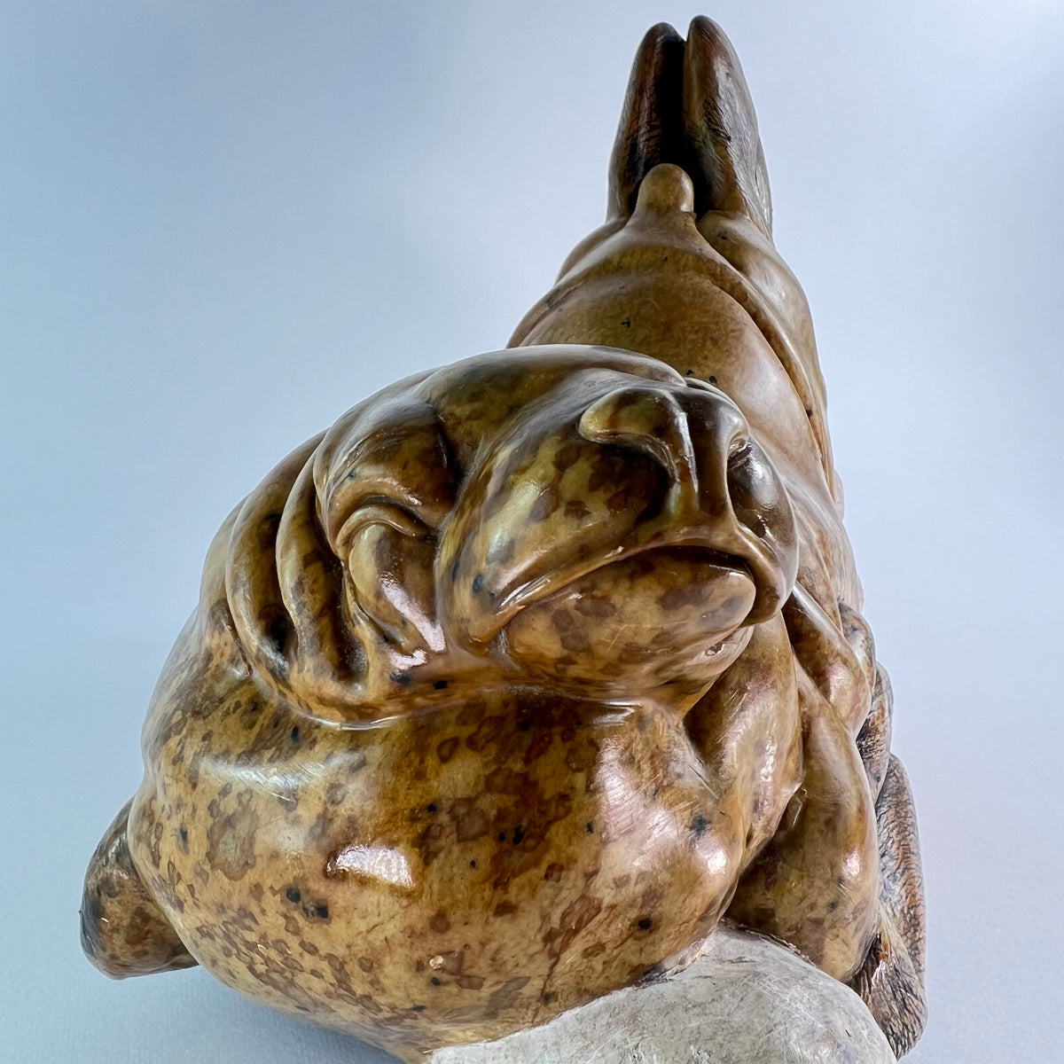 Seal