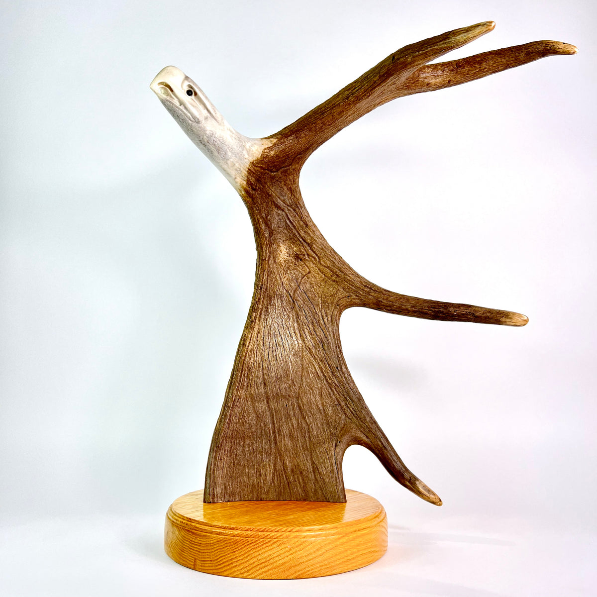 Second Flight - Moose Antler – wildlife sculpture
