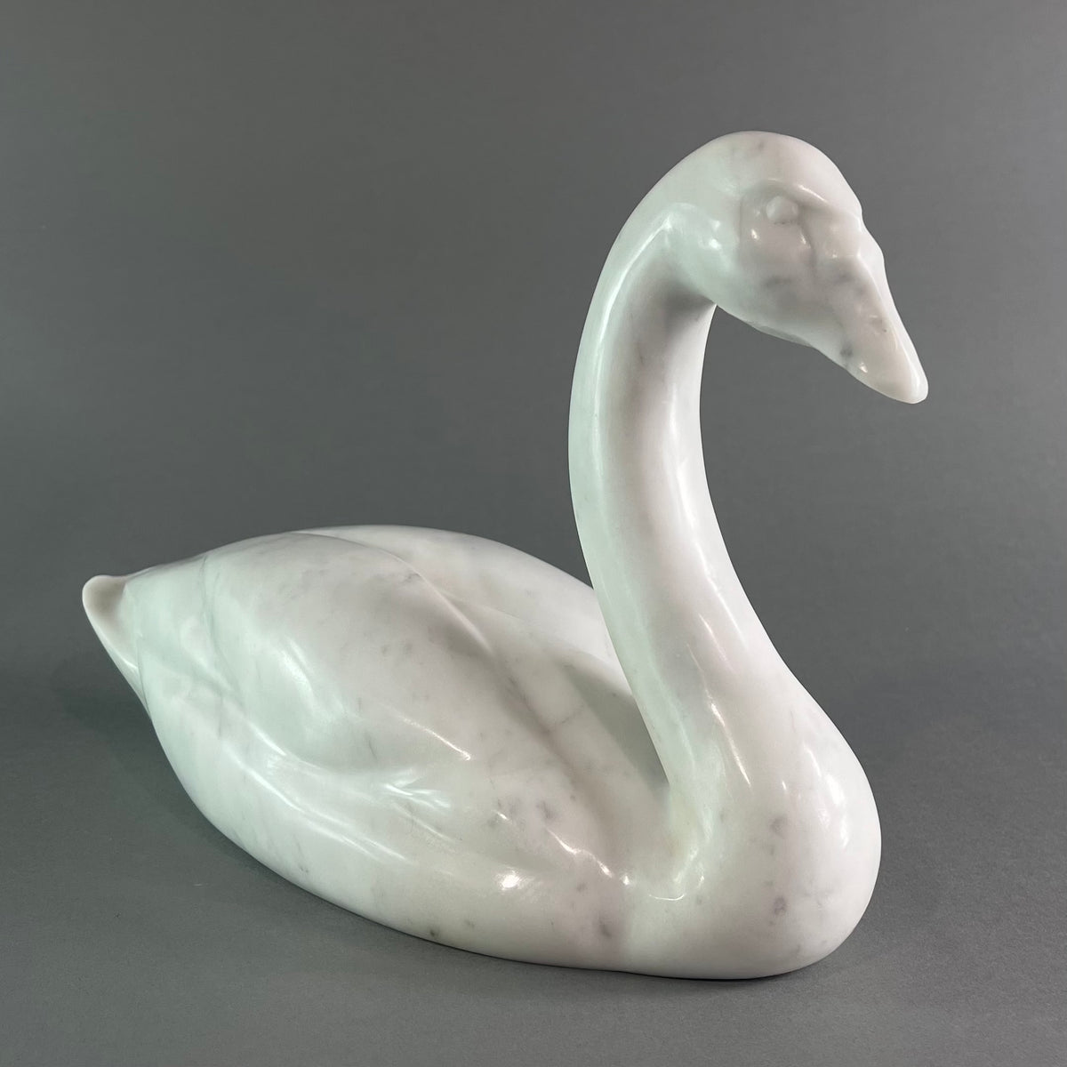 Swan