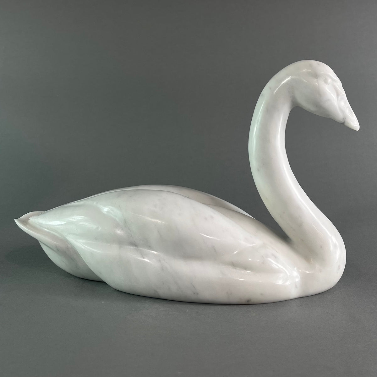 Swan