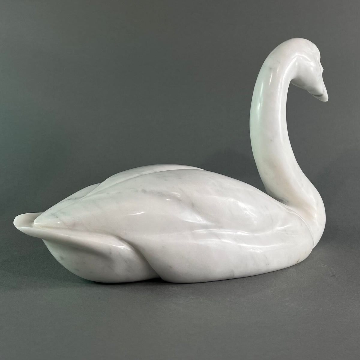 Swan