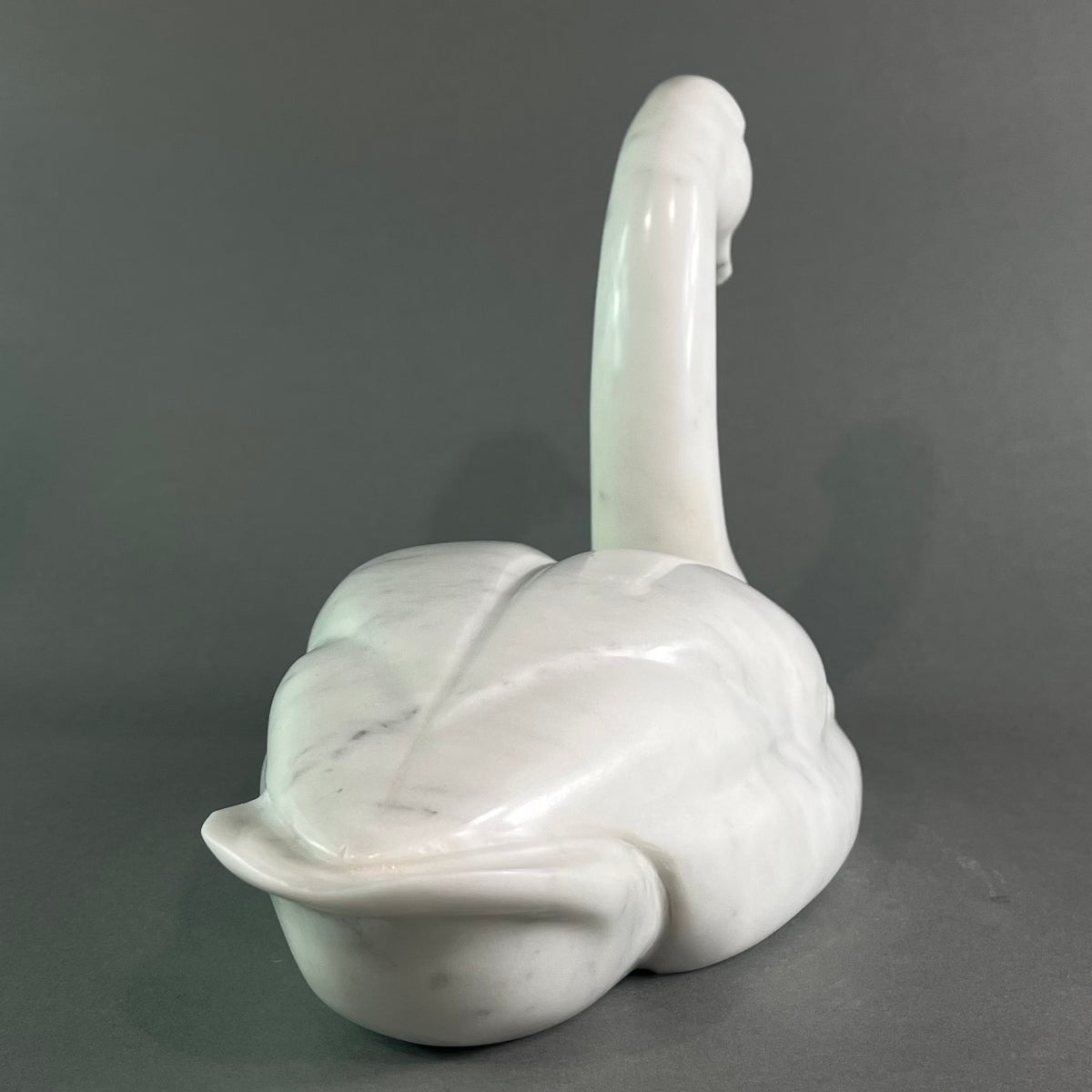 Swan