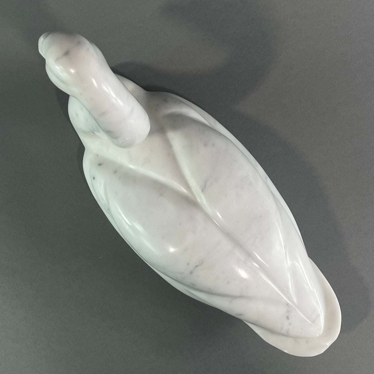 Swan