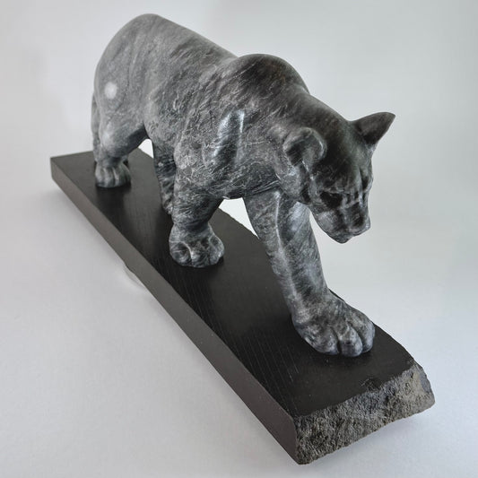 Cougar - Vancouver Island Gray Marble