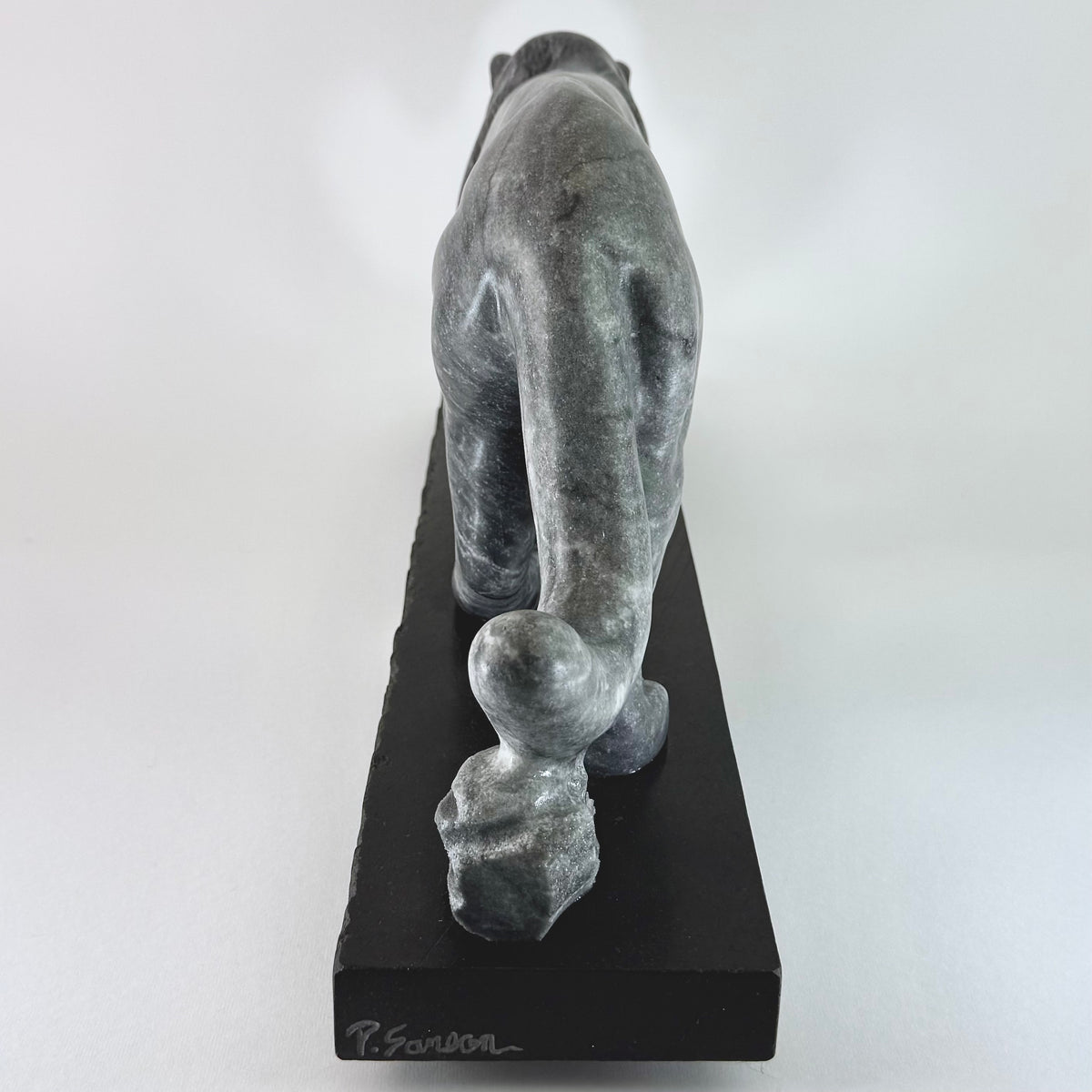 Cougar - Vancouver Island Gray Marble