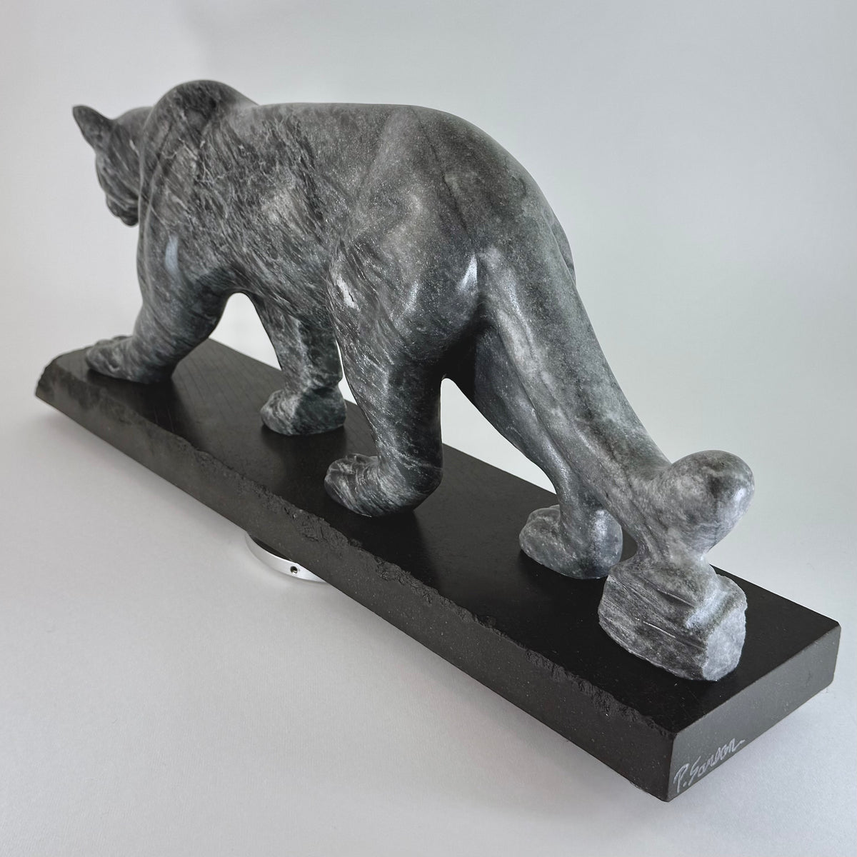 Cougar - Vancouver Island Gray Marble