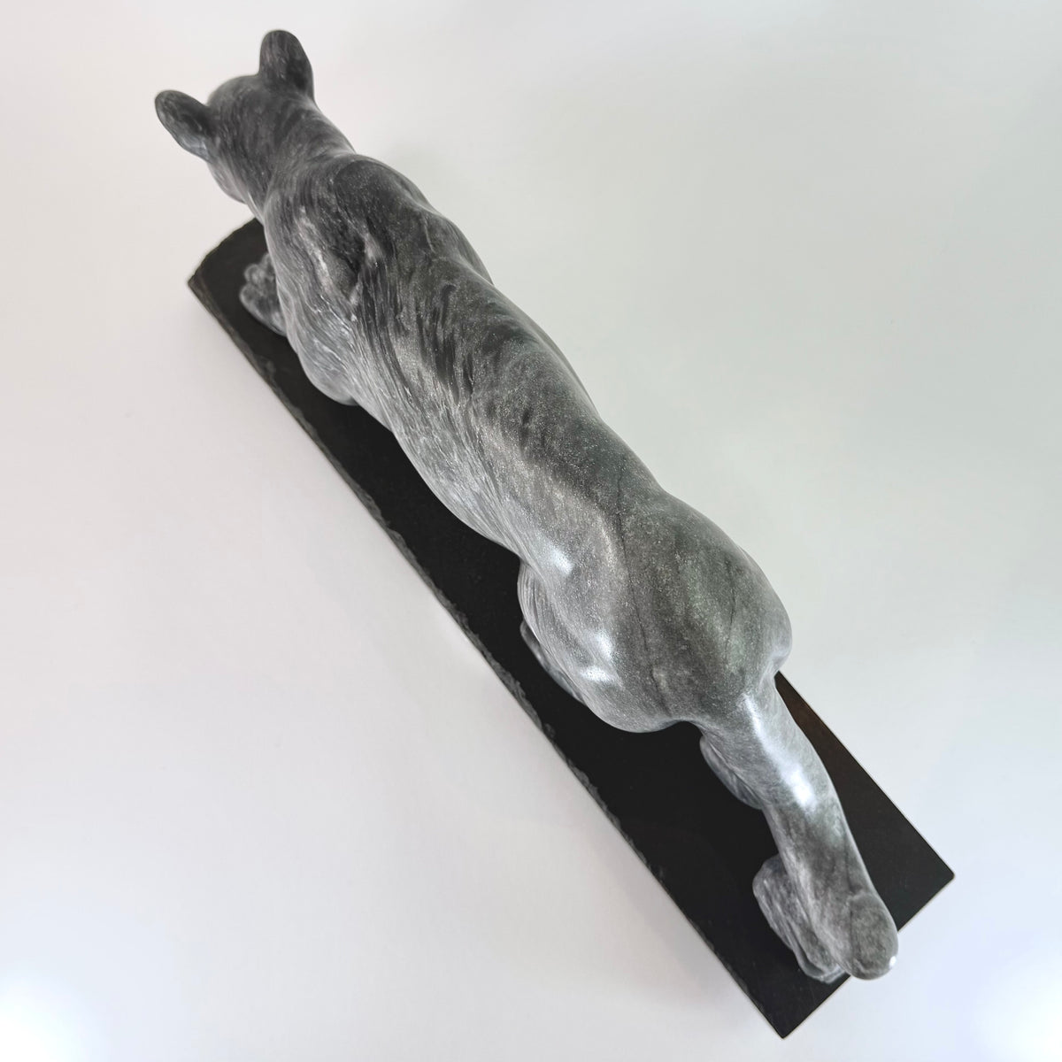 Cougar - Vancouver Island Gray Marble