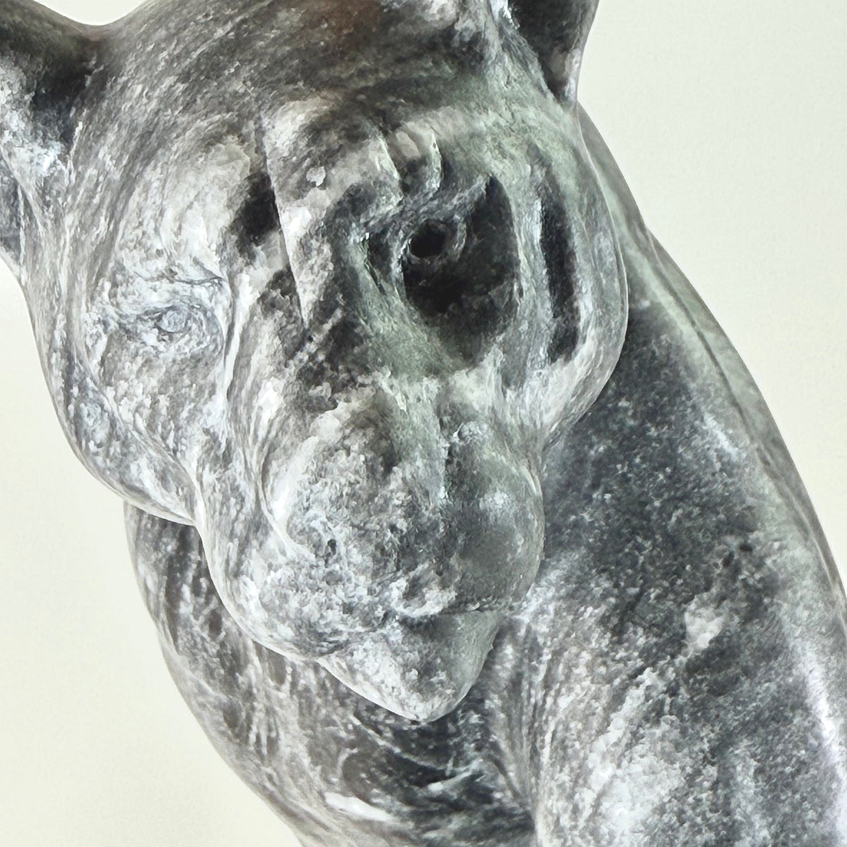 Cougar - Vancouver Island Gray Marble