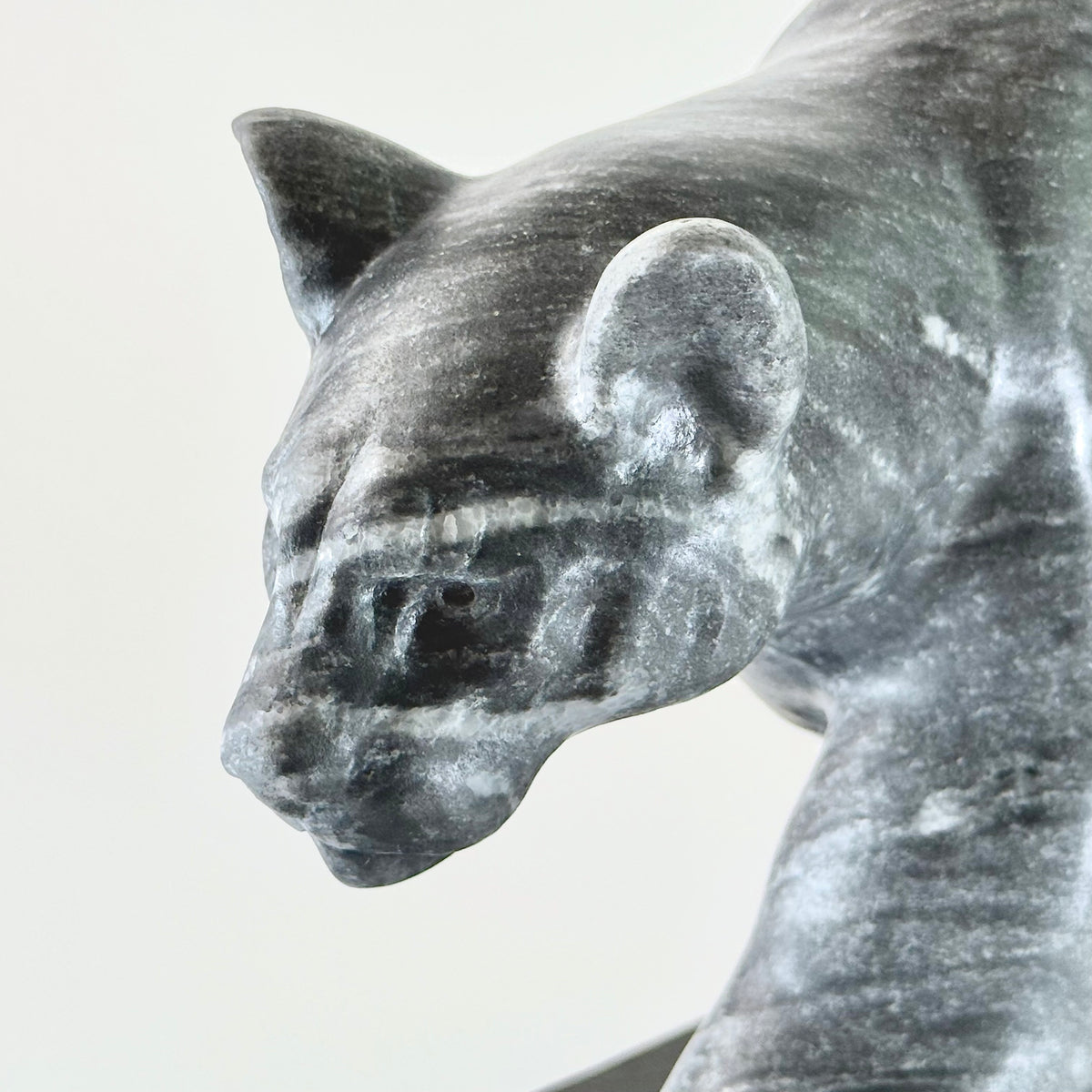 Cougar - Vancouver Island Gray Marble