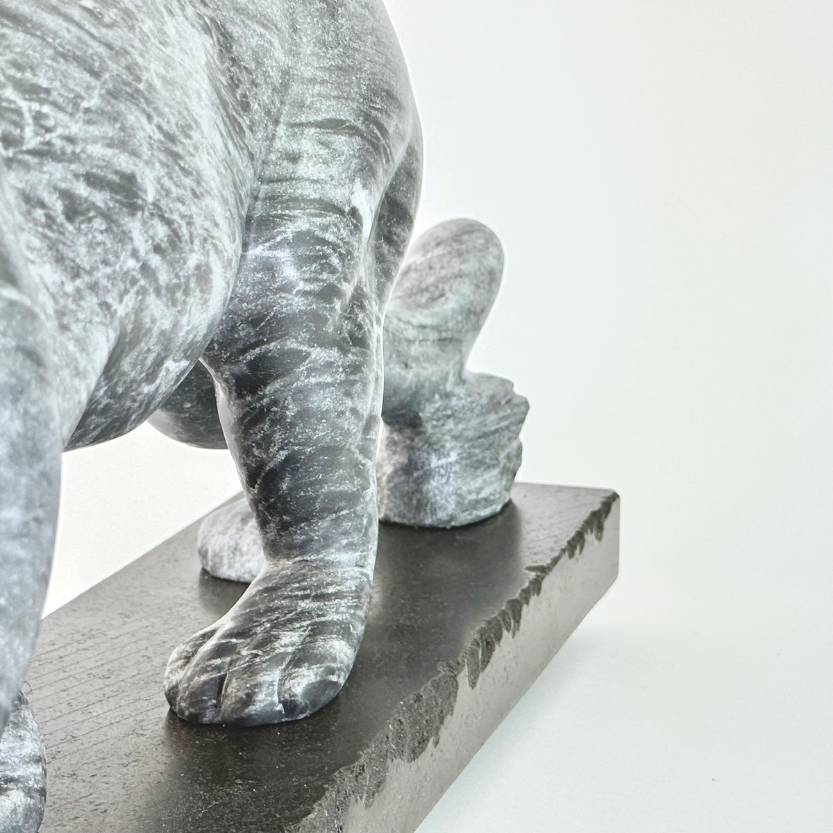 Cougar - Vancouver Island Gray Marble