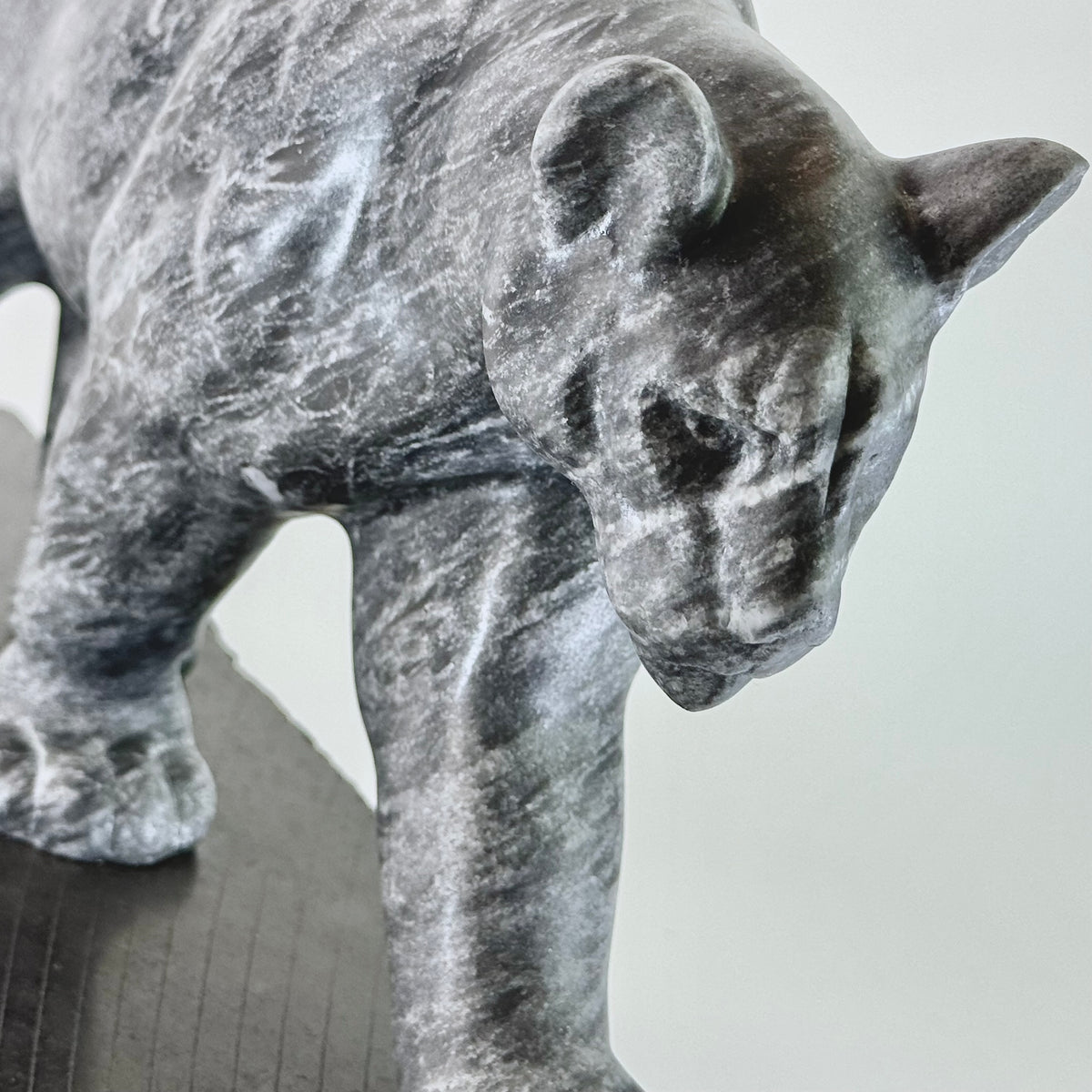 Cougar - Vancouver Island Gray Marble
