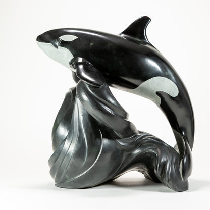 Killer Whale