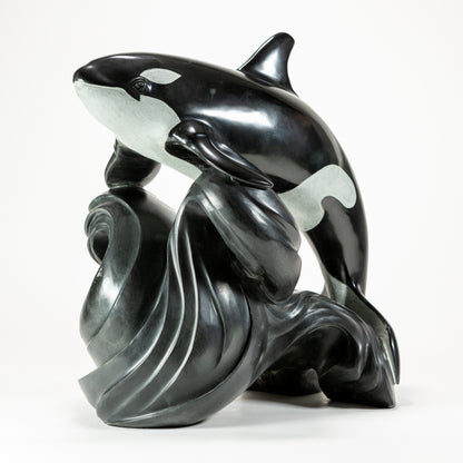 Killer Whale