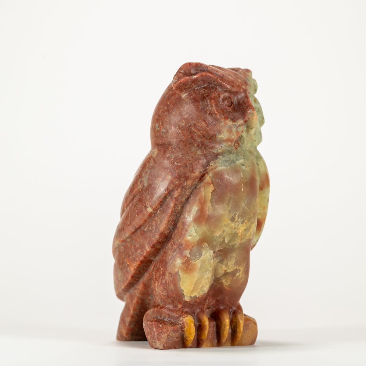 Horned Owl
