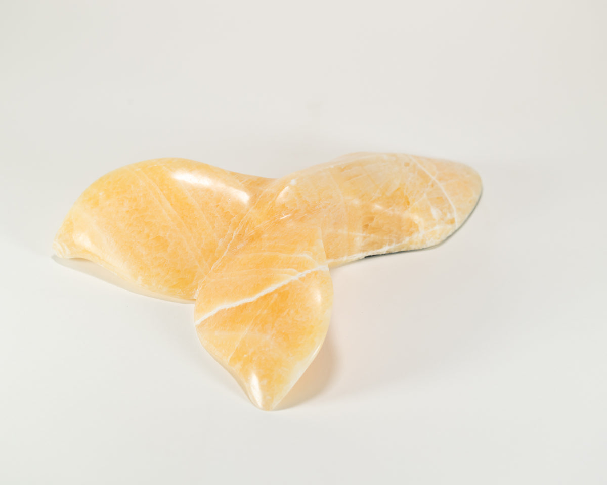 Orca Tail - Golden Onyx