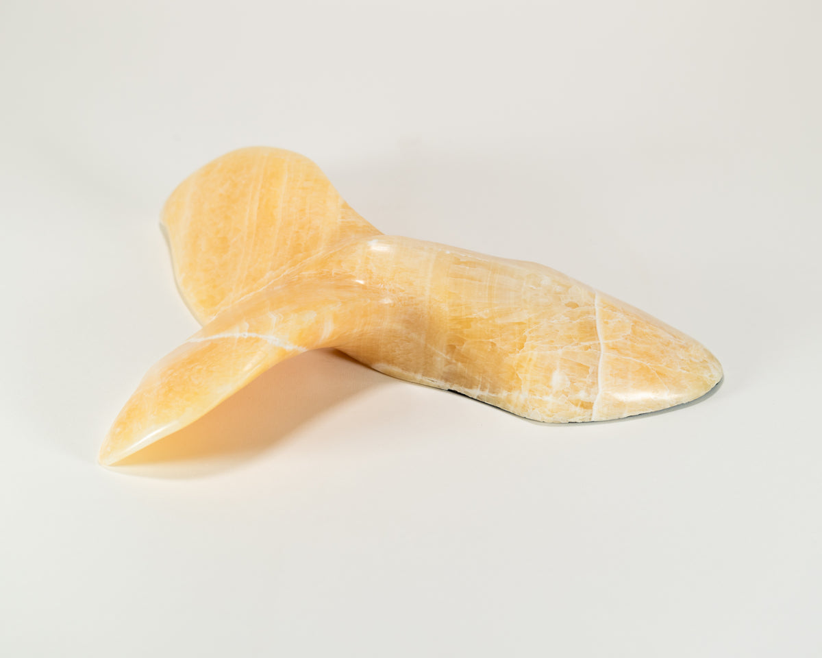 Orca Tail - Golden Onyx