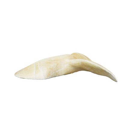 Orca Tail - Golden Onyx