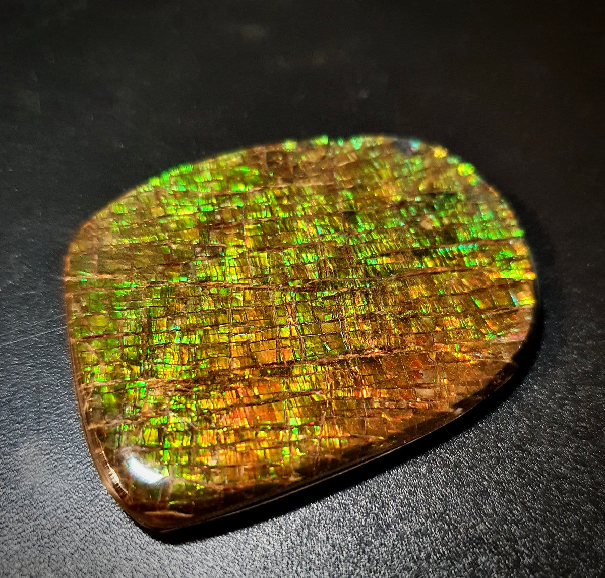 Dragon Eye - Small – Ammolite