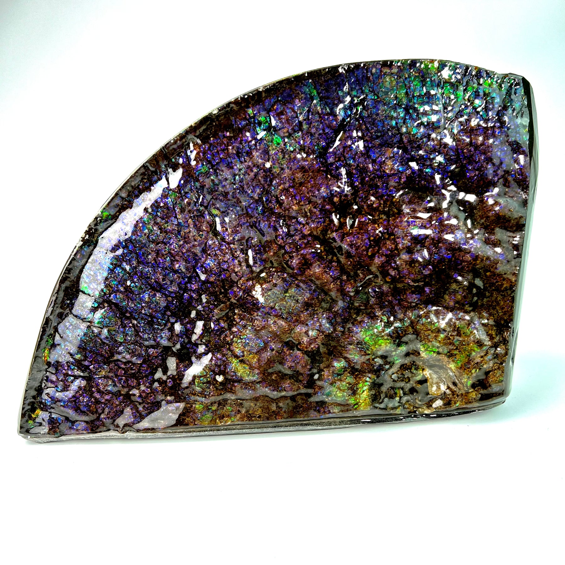 Dragon Skin Ammolite Bookend – stone sculpture