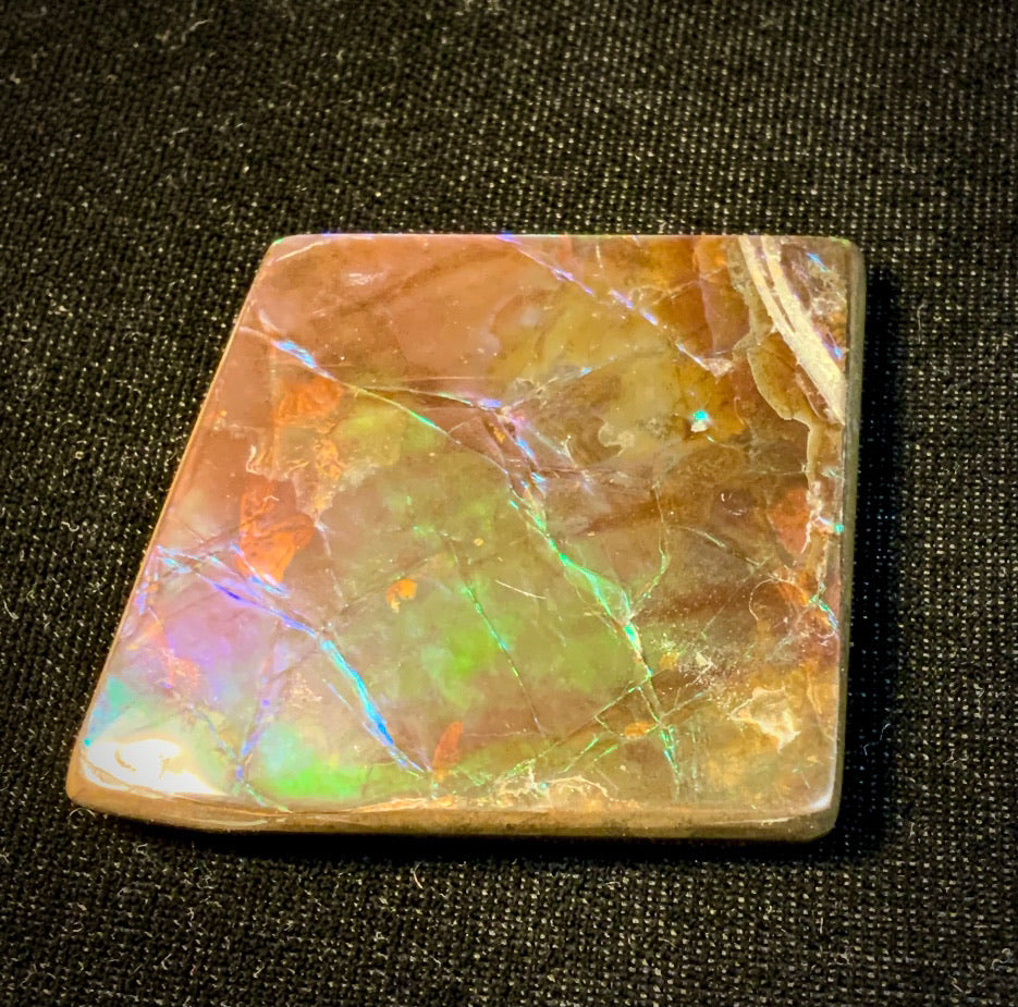 Parallelo – AmmoliteColor: Violet, Green Ammolite