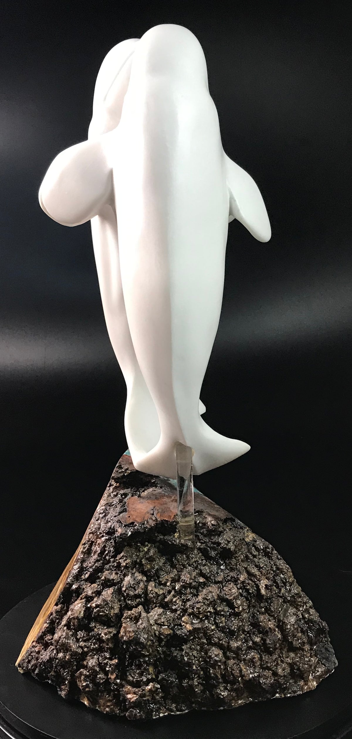 Beluga Dance