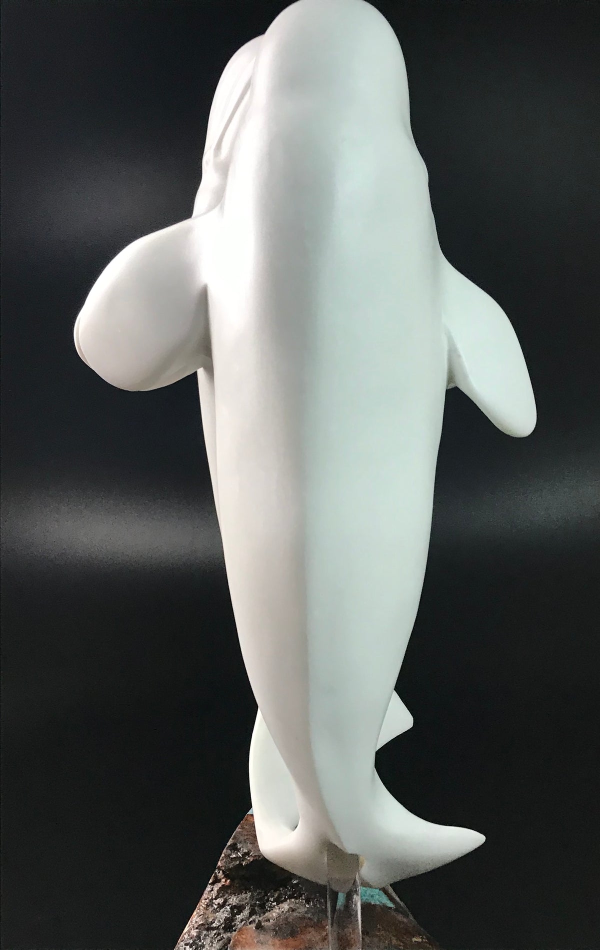 Beluga Dance