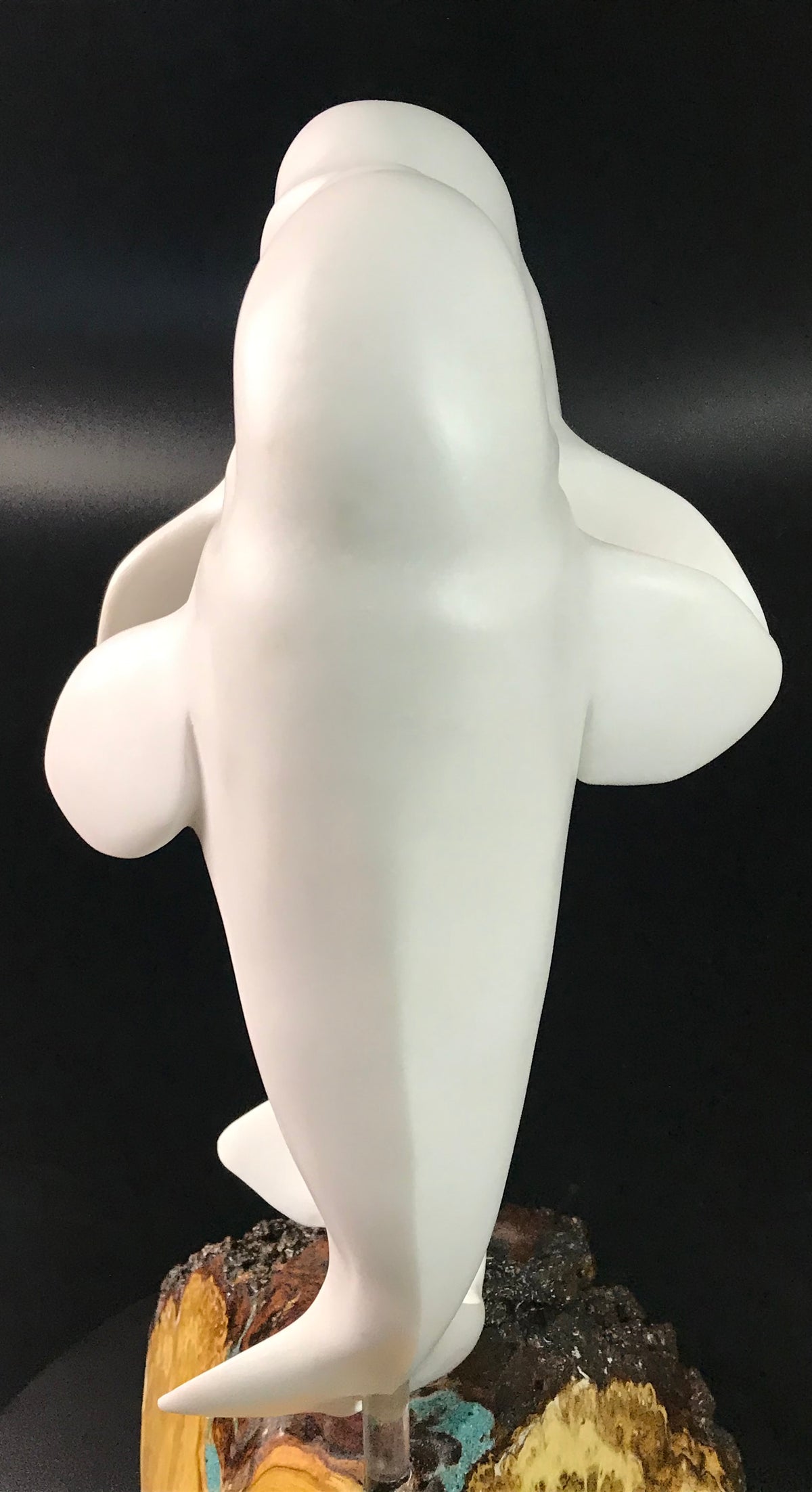 Beluga Dance