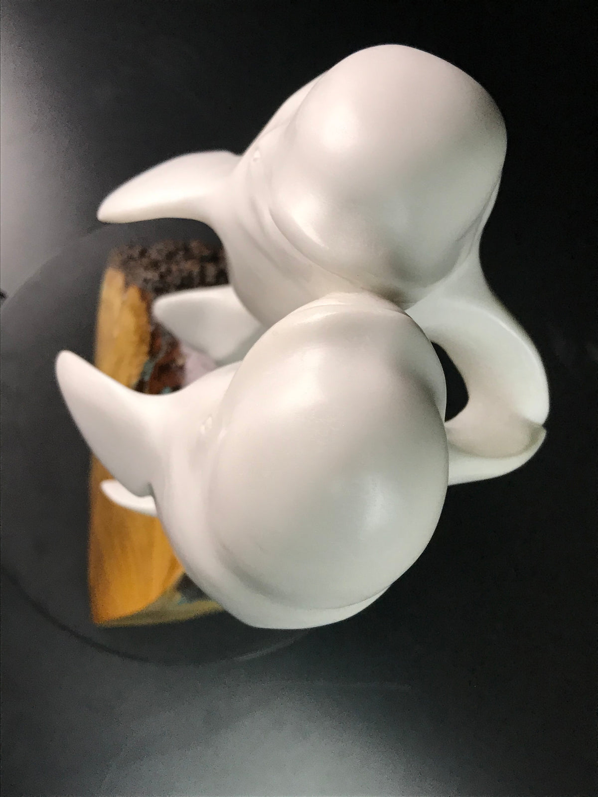 Beluga Dance