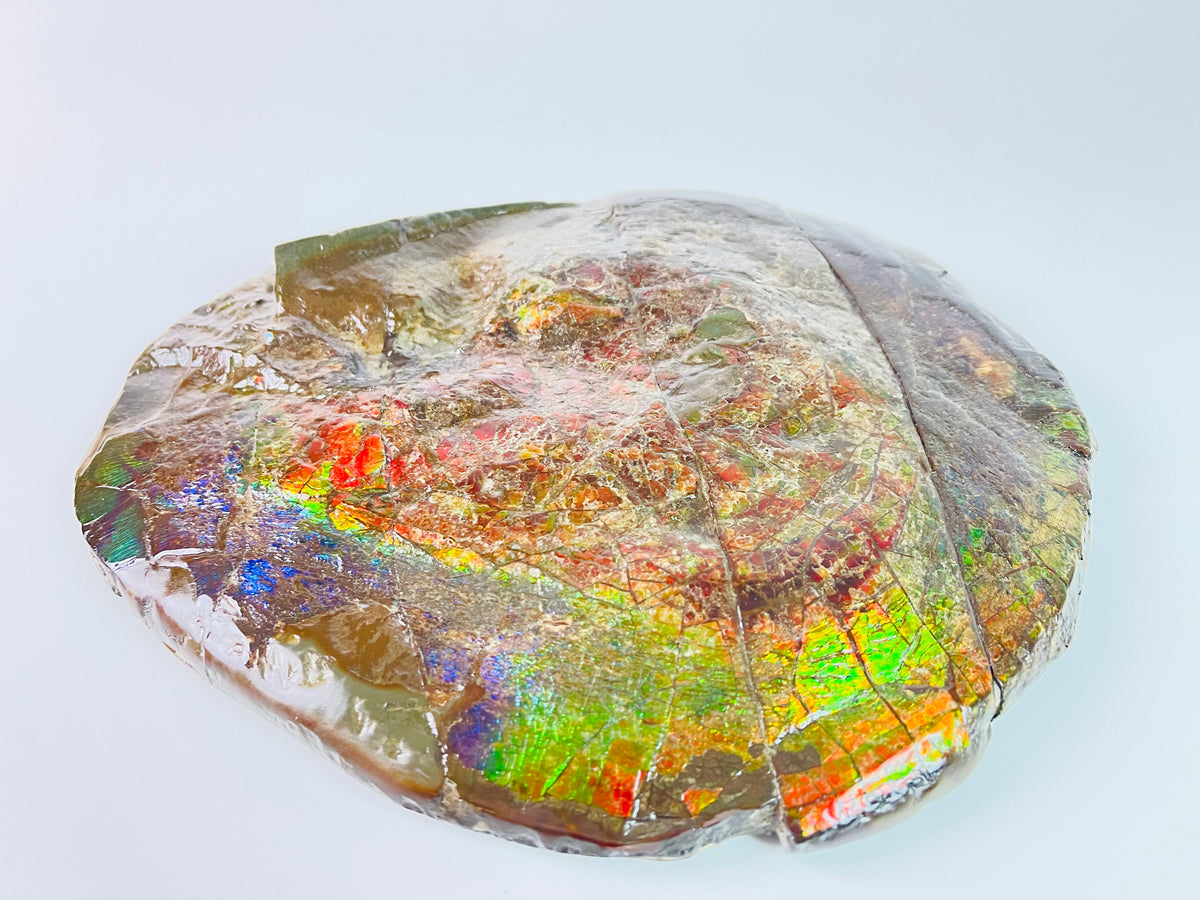 Ammolite Specimen - Rainbow Color Dragonskin Ammolite Gemball – stone sculpture