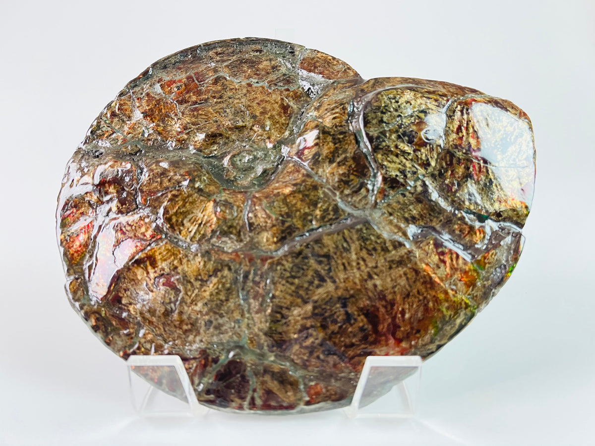 Bronze Baby – bronze sculpture