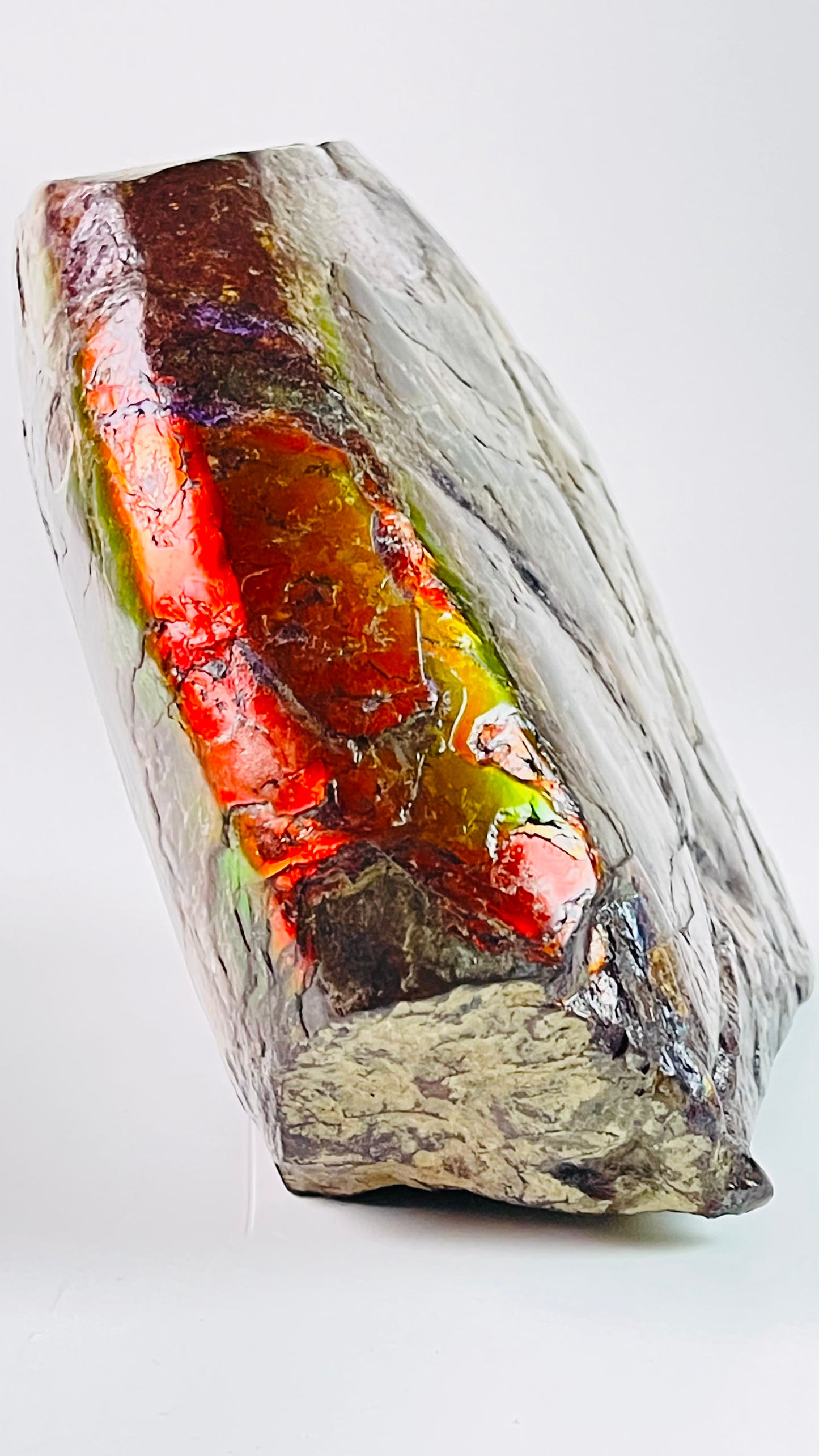 Ammolite Specimen - Rainbow feng shui ammolite display
