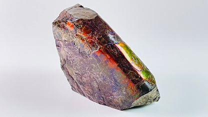 Ammolite Specimen - Rainbow feng shui ammolite display